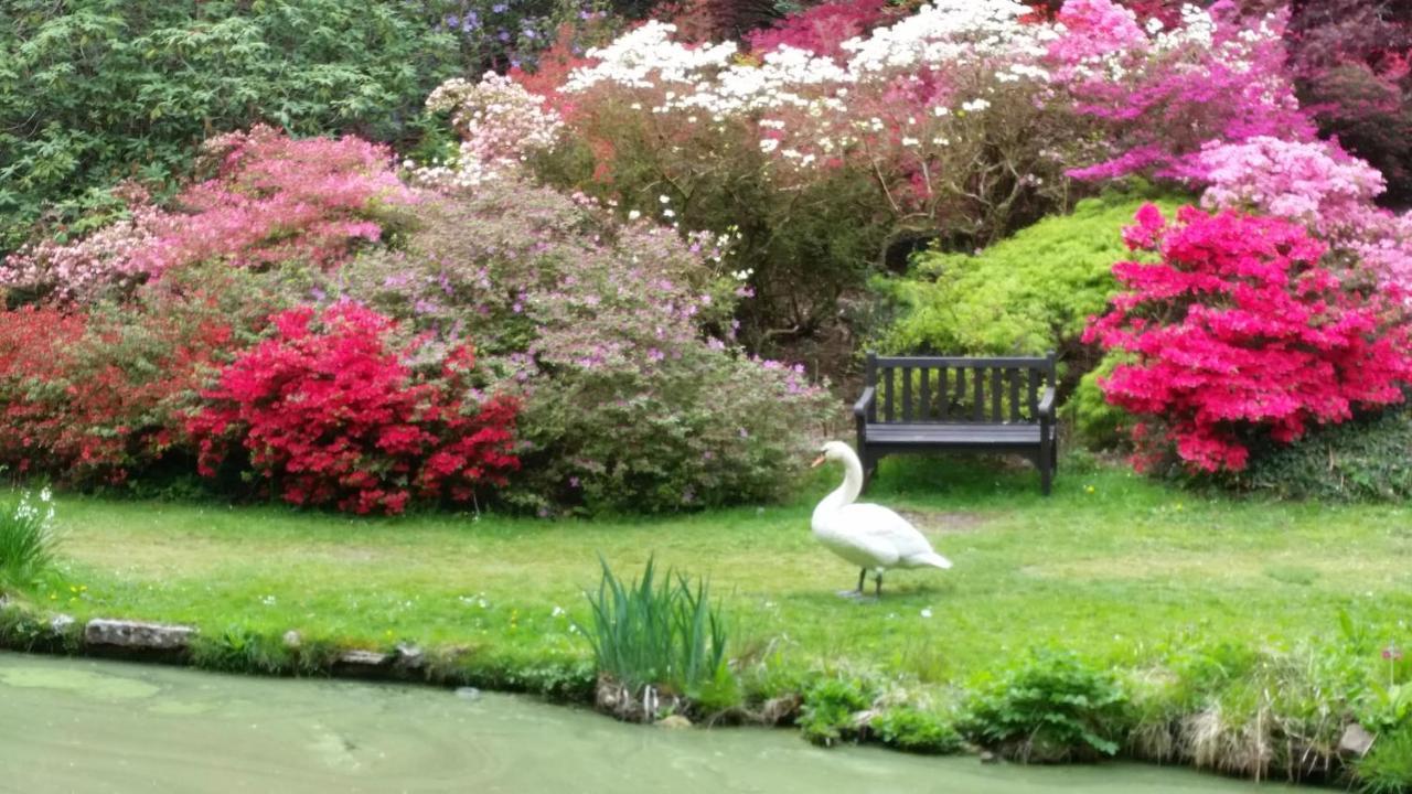 Whitemoor House B&B Lyndhurst Bagian luar foto