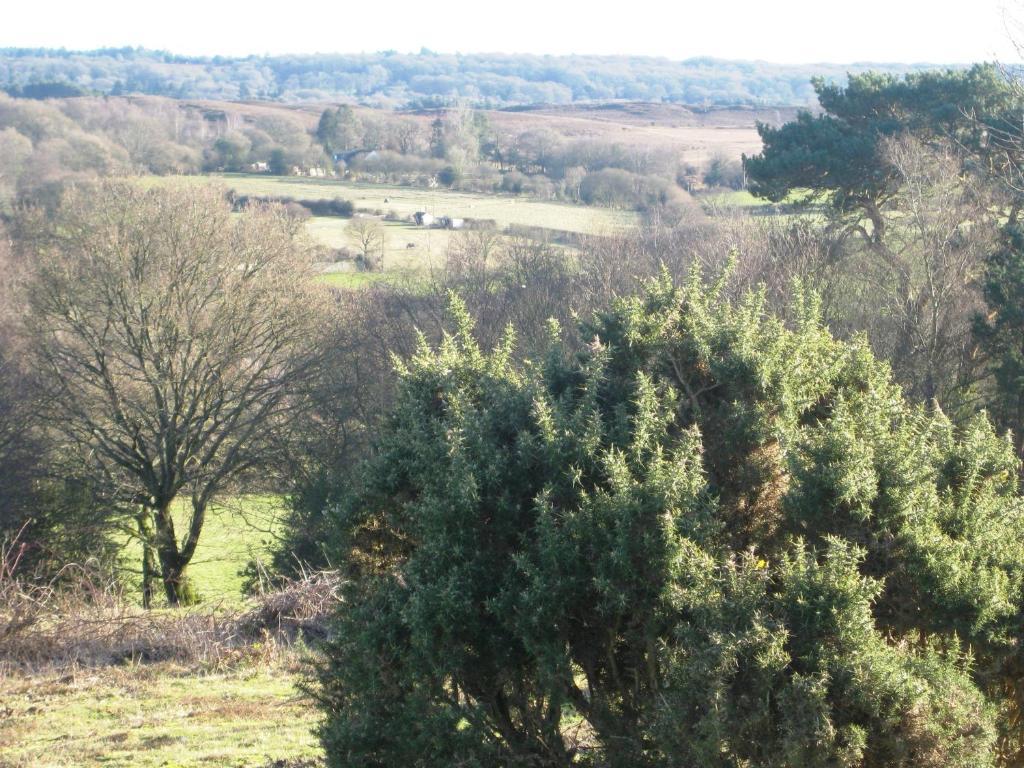 Whitemoor House B&B Lyndhurst Bagian luar foto