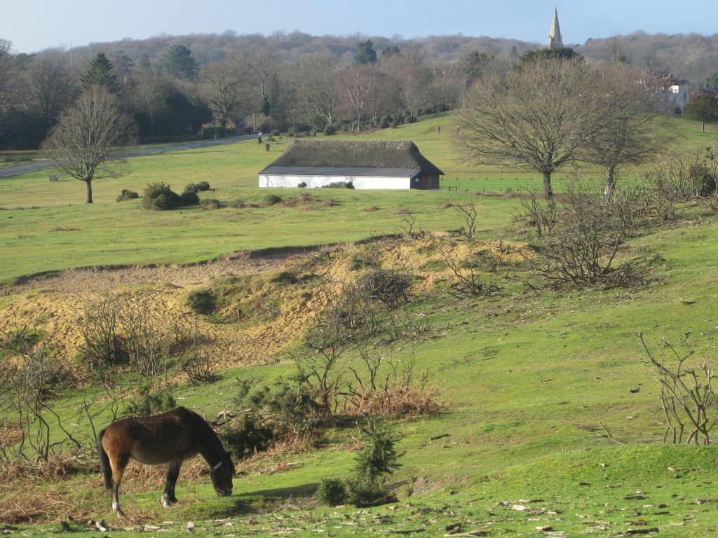 Whitemoor House B&B Lyndhurst Bagian luar foto
